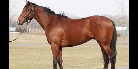 日本が誇る「女傑」の孫、リシュブールは「いいバネを持っている」