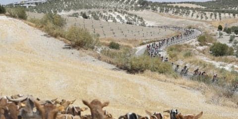 【山口和幸の茶輪記】史上初のツール・ブエルタ連覇にフルームが大きく前進