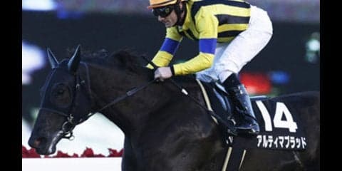 セントウルＳに大荒れ注意報。穴党記者がピンときた５頭で勝ちにいく