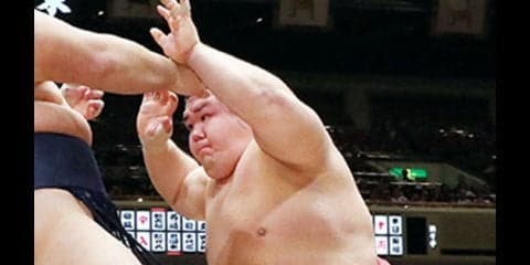 横綱たちに稽古で可愛がられる新小結、阿武咲。「しっかり暴れます」