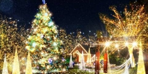 F1マシン×レーシングコースのコラボイルミネーション　鈴鹿サーキットで開催中