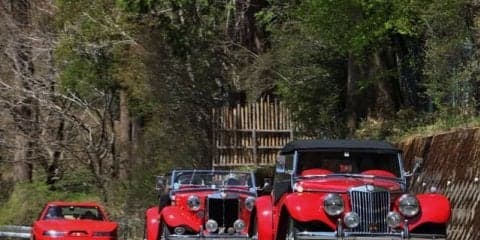 ヒストリックカー80台が“のんびり和気あいあい”…マロニエオートストーリー春