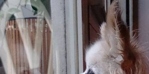 VWサマーフォトコンテスト開催、優秀作品は2020年公式カレンダーに採用