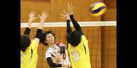 春高バレー和歌山県大会が開幕　２０日から決勝Ｔ