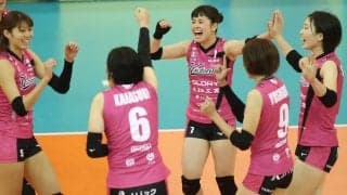 姫路がプロ・育成の合同トライアウトを実施