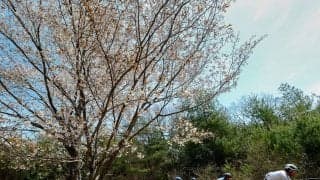 Jプロツアー2021第3戦「広島さくらロードレース」Day1・レポート