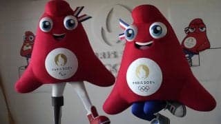 パリ2024パラリンピックのマスコット「フリージュ」って？