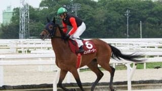 【園田・西日本クラシック】高知シンメデージーが無傷の6連勝…無敗馬対決を制する