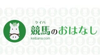 【新馬/京都5R】キトンインザスカイが抜け出す…新種牡馬シスキンはJRA初勝利