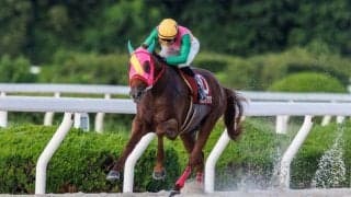 【兵庫優駿】マルカイグアスが8馬身差圧勝…鴨宮「強気に行った」
