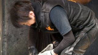 【装蹄師・西内荘コラム】しっかり充電出来たルクスフロンティア