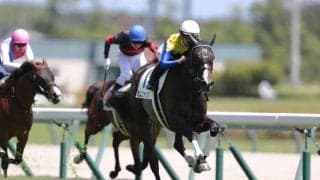 【新馬/中京5R】単勝1.2倍カムニャックがデビュー戦を快勝