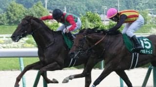 【七夕賞】柴田大「頑張れと声が出た」コスモフリーゲンが重賞初制覇