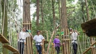 チームビルディングに森アドベンチャーが注目！森林再生の一助にも