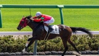 【中山3R】ニャンタロウが5馬身差の圧勝