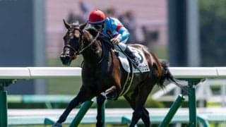 【新馬/中山5R】フィエールマン産駒  フォルテアンジェロが人気に応える