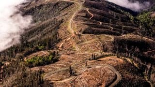 WRCチリ：Mスポーツ・フォードから3台のフォード・プーマ・ラリー1がエントリー