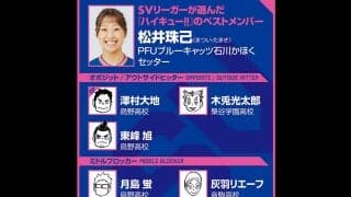【ハイキュー‼×SVリーグ】石川かほくの松井珠己が選ぶ『ハイキュー‼』ベストメンバー　セッターを影山飛雄ではなく菅原孝支にした理由は？