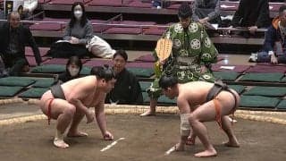 力士の耳がすごいことに「餃子にもほどがある」と話題 細“マッチョ”力士の意外な特徴にファン注目