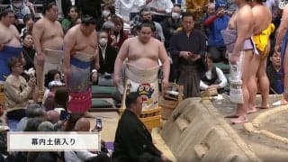 化粧まわしが“キャラ被り” 幕内土俵入りの思わぬ光景に「ペンギンの行進」「2連」反響相次ぐ