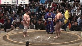 「髪型目立つ」大相撲千秋楽に人気タレントの姿 「リアクションが毎回オモロイw」熱心な姿も話題