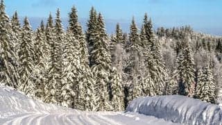 WRCスウェーデン：ハンコック「例年より雪壁は低い」