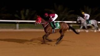 【サウジカップ】フォーエバーヤングが史上初の2連覇達成！ 圧巻競馬で1番人気の期待に応える