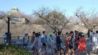 【大阪マラソン】スタート前の気温１２度、トップのゴール時は１８度予想　注目の吉田響「暑い方がいいです」