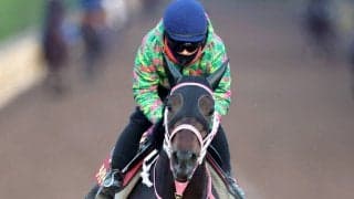 【チューリップ賞・松ケ下の特注馬】タイセイボーグの前走を評価　阪神ＪＦ３着と同舞台で重賞初制覇だ