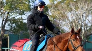 【オーシャンＳ】衰え知らずのウイングレイテスト　松岡正海騎手「もしかしたら今回の方がいい」