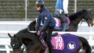 【チューリップ賞】母シンハライトは１０年前にＶ　アランカールが好仕上がり　斉藤崇調教師「本当にすごくここまで順調」