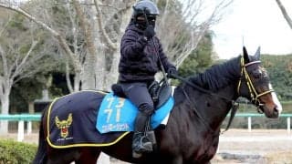 【中山記念】２５年京成杯で大波乱演出のニシノエージェント　叩き２戦目、距離短縮でガラリ一変を狙う