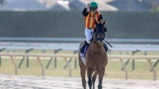 フェブラリーS連覇を果たしたコスタノヴァ 近年のトレンドに合致した血統構成とは