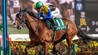 【オーシャンS想定騎手】ママコチャは川田騎手、ルガルは鮫島駿騎手