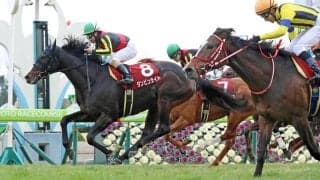 ダンビュライトが腸捻転のため死ぬ　１９年京都記念など重賞２勝