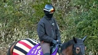 【中山記念】２４年の牝馬２冠チェルヴィニアが今年初戦　陣営慎重も僚馬コスタノヴァは急ピッチ調整でＧ１連覇