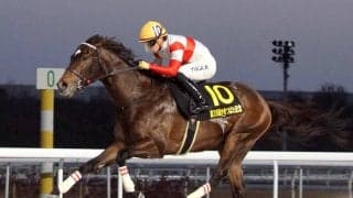 【かきつばた記念】ダノンフィーゴが３馬身差の完勝で重賞初制覇　友道康夫調教師は交流重賞初タイトル