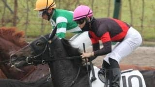 今週末のレースに大穴候補の一頭も？ 小倉芝2000mに強い種牡馬を紹介