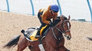 ステイヤーズＳで牝馬３９年ぶりＶのホーエリート　直行で天皇賞・春の予定　ダイヤモンドＳ５着からの巻き返し狙う