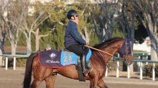 【中山記念】レーベンスティールは舞台替わり歓迎　田中博康調教師「しっかり仕上がった状態で使いたい」