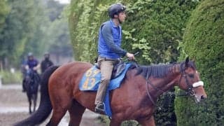 今週がラスト週の国枝栄厩舎サトノエピックは中山記念に向かわず土曜の仁川Ｓへ　美浦所属馬の次走予定