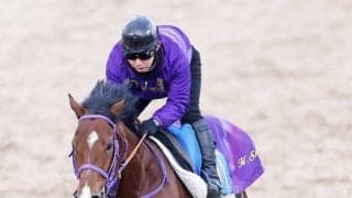 ディマイザキッドは菅原明良騎手と新コンビで金鯱賞へ　美浦・清水英克厩舎勢の次走予定