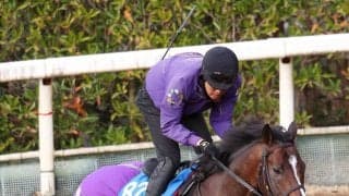 【注目馬動向】ダイヤモンドＳ１着のスティンガーグラスは天皇賞・春へ　
