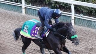 【オーシャンＳ】「勝っているところだから」陣営も自信　２４年スプリンターズＳ勝ち馬ルガルが同舞台Ｖ狙う　