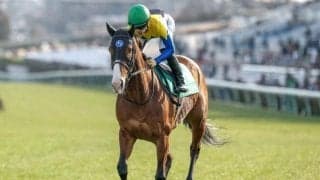 【オーシャンS予想オッズ】ママコチャが予想1番人気