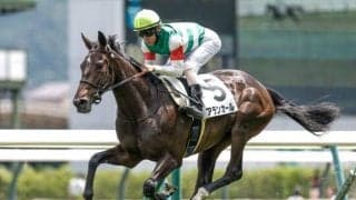 【チューリップ賞予想オッズ】アランカールが予想1番人気