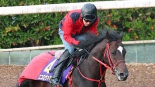 【中山記念】昨年鼻差２着のエコロヴァルツが今年も好気配　陣営「ゼッケンに名前をつけてあげたいですね」