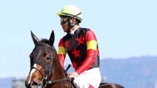 【チューリップ賞】ウオッカでも勝てなかった…四位洋文調教師、桜花賞２着４回騎手時代の悔しさ晴らす！ソルパッサーレでまず切符取りだ