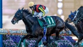 【中山記念展望】強い4歳世代のカラマティアノスが重賞連勝を狙う