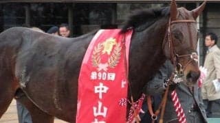 今年で第100回を迎える中山記念 節目の年は関東馬が6連勝中